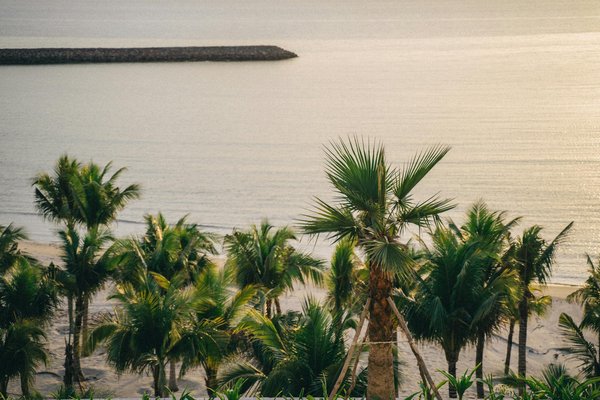 Quelles sont les techniques pour fabriquer des ustensiles de cuisine de fortune en camping ?